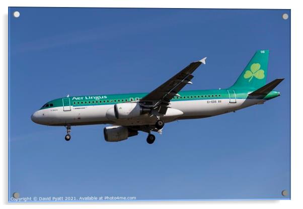Aer Lingus Airbus A320-214                            Acrylic by David Pyatt