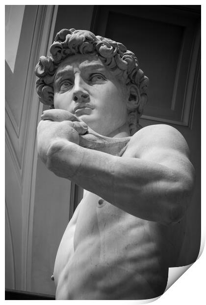The Statue of David by Michelangelo Print by Alan Le Bon