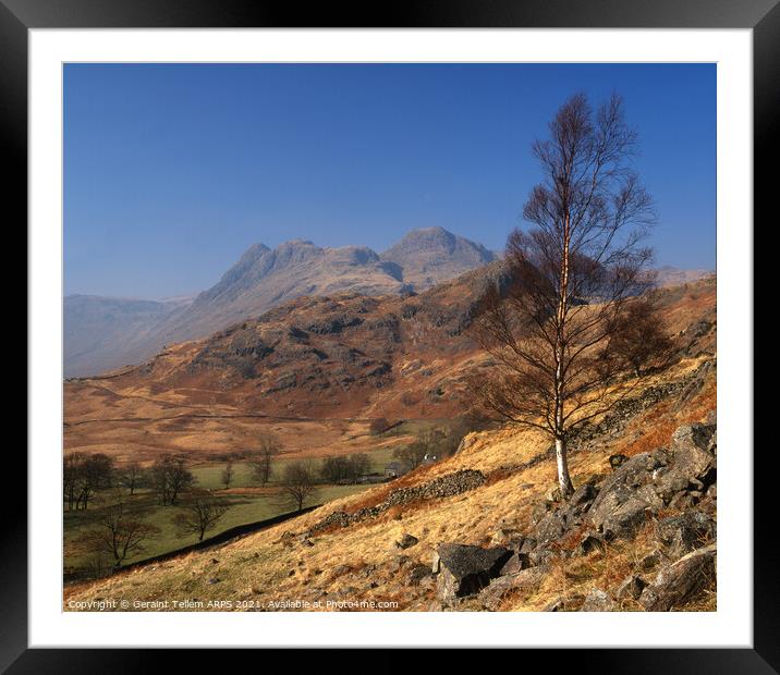Looking towards Langdale Pikes, Lake District, Cumbria, UK Framed Mounted Print by Geraint Tellem ARPS