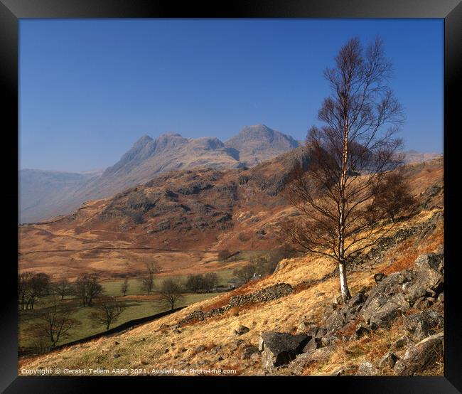 Looking towards Langdale Pikes, Lake District, Cumbria, UK Framed Print by Geraint Tellem ARPS