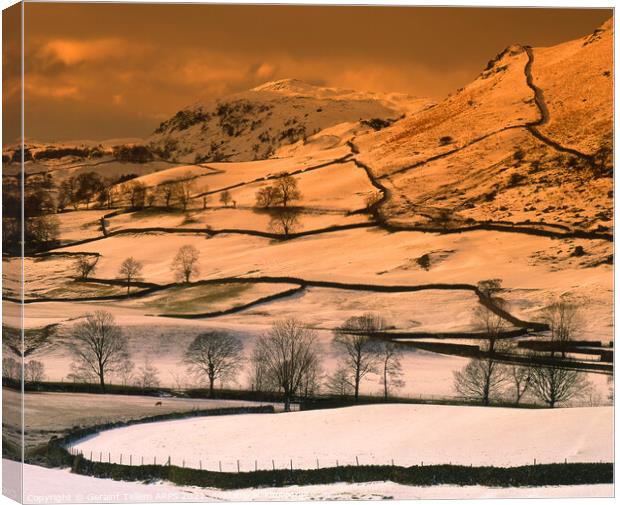 Snow scene near Grasmere, Lake District, Cumbria, UK Canvas Print by Geraint Tellem ARPS