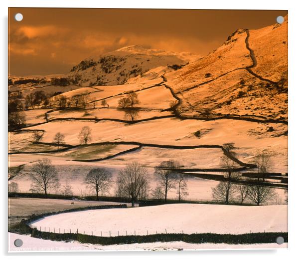 Snow scene near Grasmere, Lake District, Cumbria, UK Acrylic by Geraint Tellem ARPS