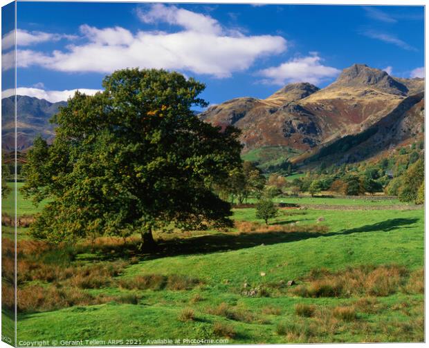 Looking towards Langdale Pikes, Lake District, Cumbria, UK Canvas Print by Geraint Tellem ARPS