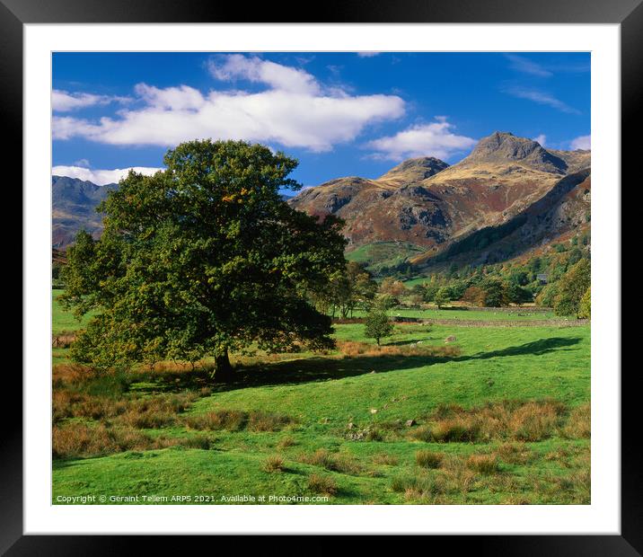 Looking towards Langdale Pikes, Lake District, Cumbria, UK Framed Mounted Print by Geraint Tellem ARPS