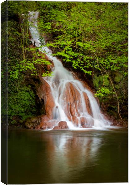 A waterfall on the river Tawe Canvas Print by Leighton Collins