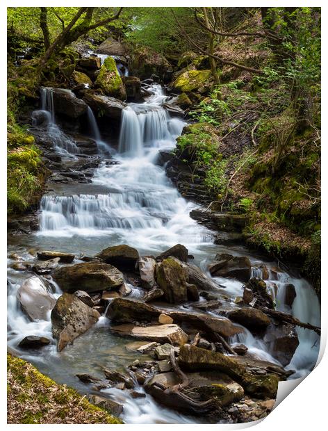 Melincourt Brook waterfall Print by Leighton Collins