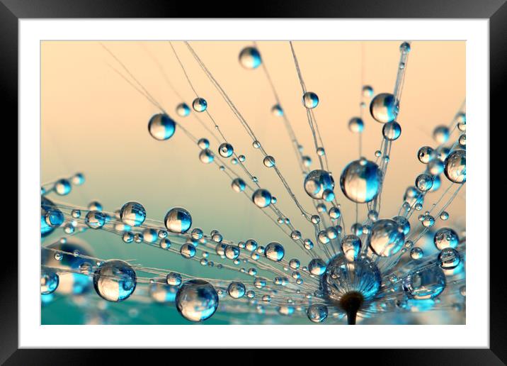 Crazy Dandy Drops II Framed Mounted Print by Sharon Johnstone