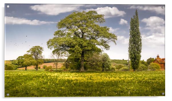 Rural Scene, West Sussex Acrylic by Mark Jones
