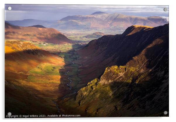 Newlands Valley, Lake District Acrylic by Nigel Wilkins
