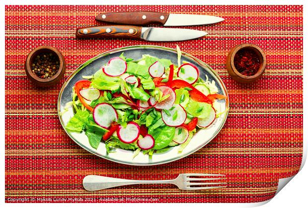 Summer vitamin salad on a metal plate Print by Mykola Lunov Mykola