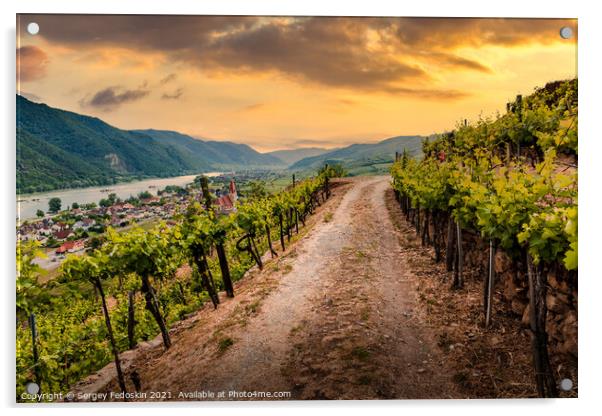 Road through the vineyards at sunset. Wachau Valley. Austria. Acrylic by Sergey Fedoskin