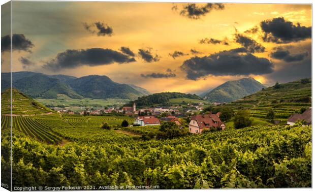 Sunset over vineyard and Spitz town in Wachau region, Austria. Canvas Print by Sergey Fedoskin