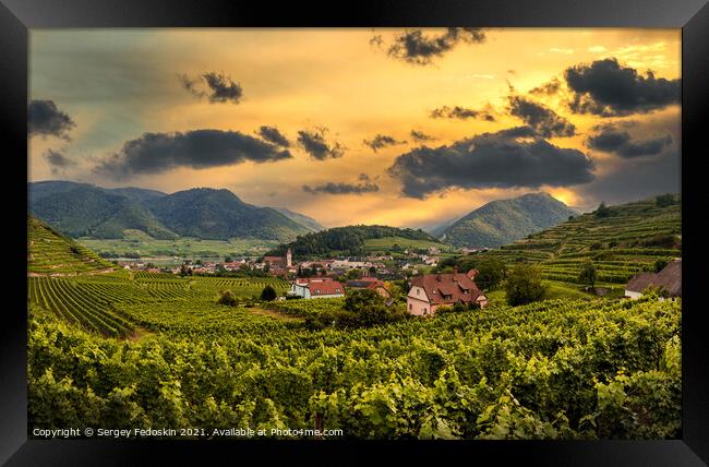 Sunset over vineyard and Spitz town in Wachau region, Austria. Framed Print by Sergey Fedoskin
