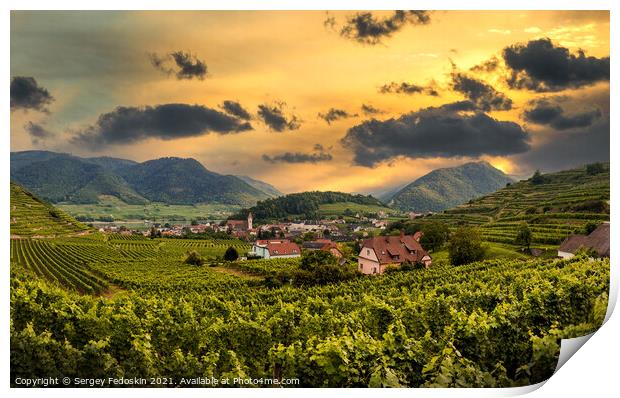 Sunset over vineyard and Spitz town in Wachau region, Austria. Print by Sergey Fedoskin
