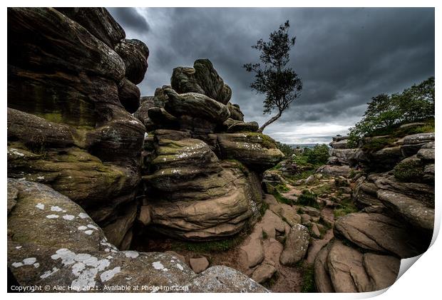 Brimham Rocks natural sandstone Print by Alec Hey