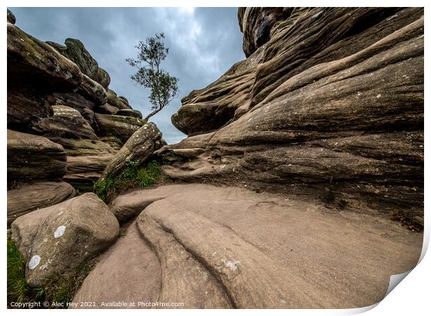 Brimham Rocks natural sandstone Print by Alec Hey