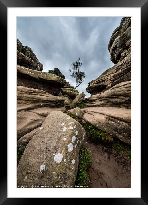 Brimham Rocks natural sandstone Framed Mounted Print by Alec Hey