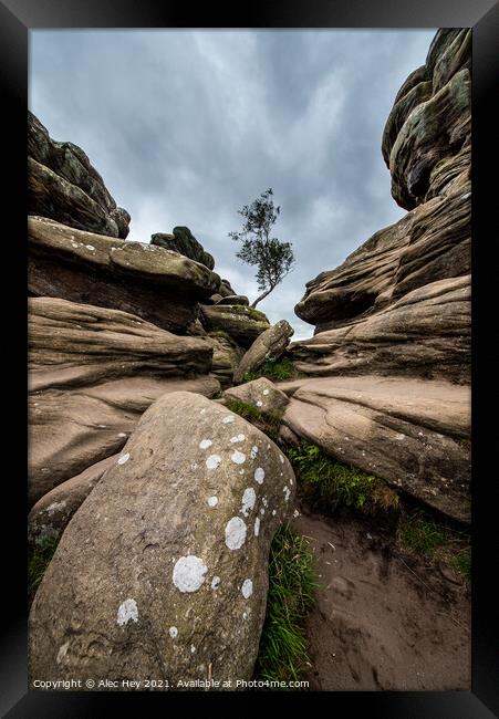 Brimham Rocks natural sandstone Framed Print by Alec Hey