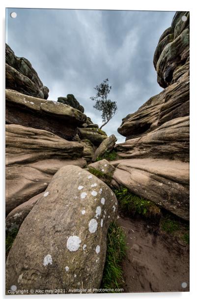 Brimham Rocks natural sandstone Acrylic by Alec Hey
