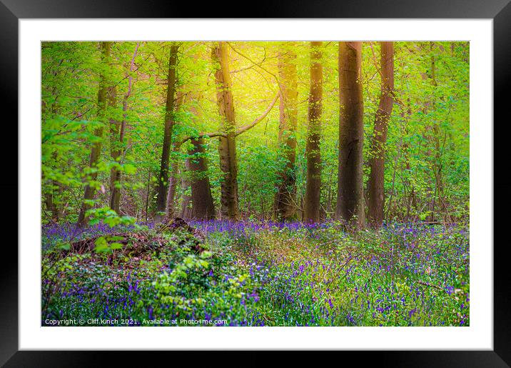 Bluebell wood Framed Mounted Print by Cliff Kinch