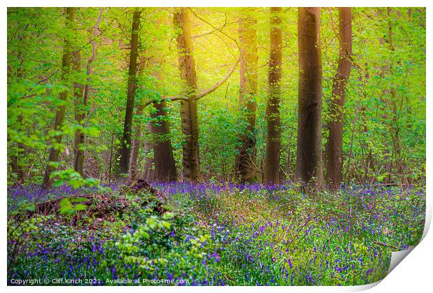Bluebell wood Print by Cliff Kinch
