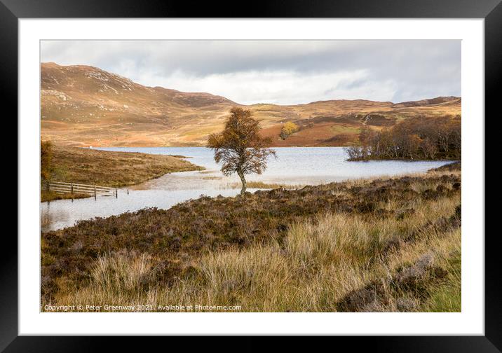 A Lone Tree At Loch Tarff, Scottish Highlands Framed Mounted Print by Peter Greenway