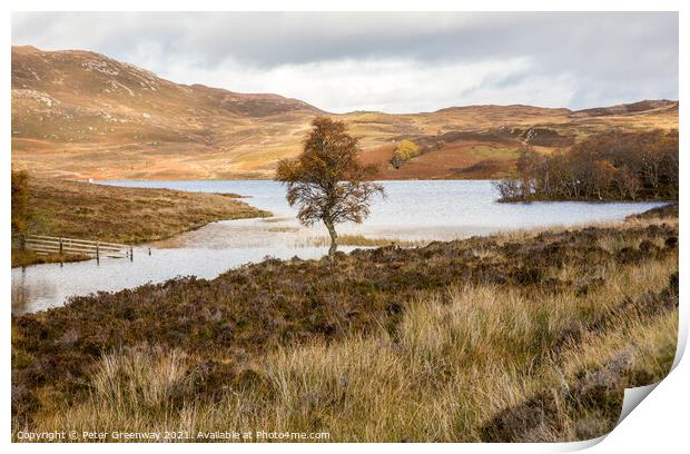 A Lone Tree At Loch Tarff, Scottish Highlands Print by Peter Greenway