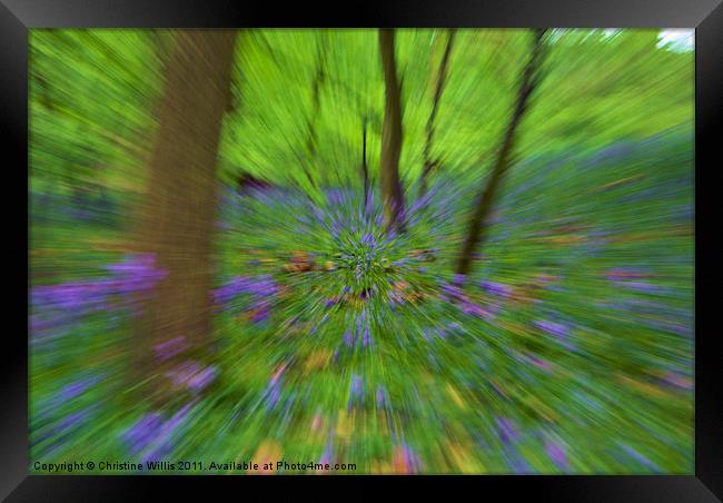 Zooming Through Bluebell Woods Framed Print by Christine Johnson