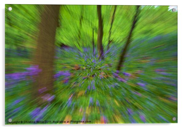 Zooming Through Bluebell Woods Acrylic by Christine Johnson