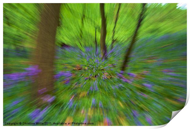 Zooming Through Bluebell Woods Print by Christine Johnson