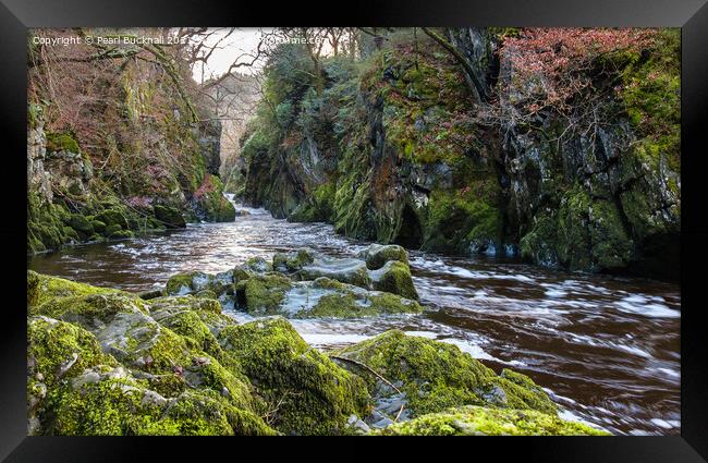 Fairy Glen Gorge Snowdonia Wales Framed Print by Pearl Bucknall