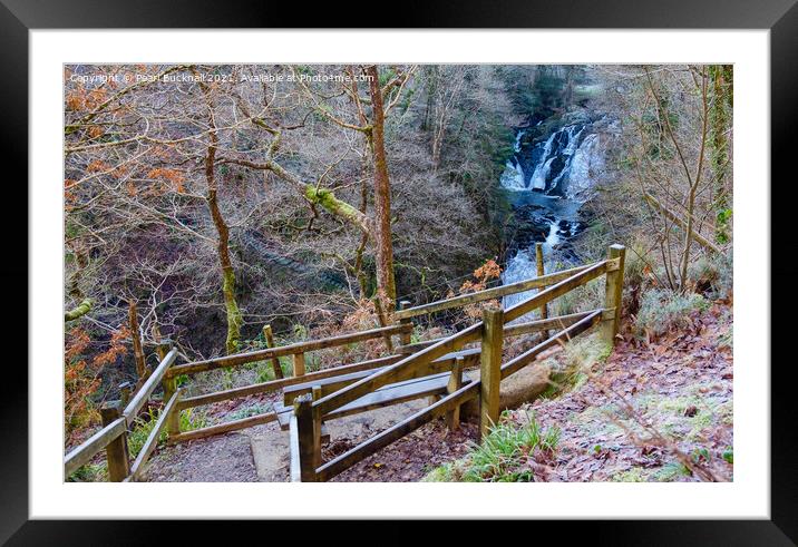 Swallow Falls from the Other Side in Snowdonia Framed Mounted Print by Pearl Bucknall