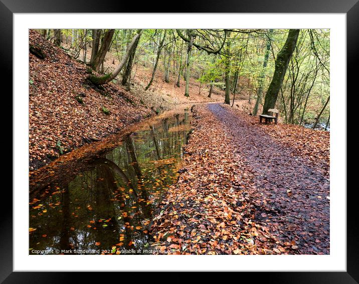 Skipton Woods in Autumn Framed Mounted Print by Mark Sunderland