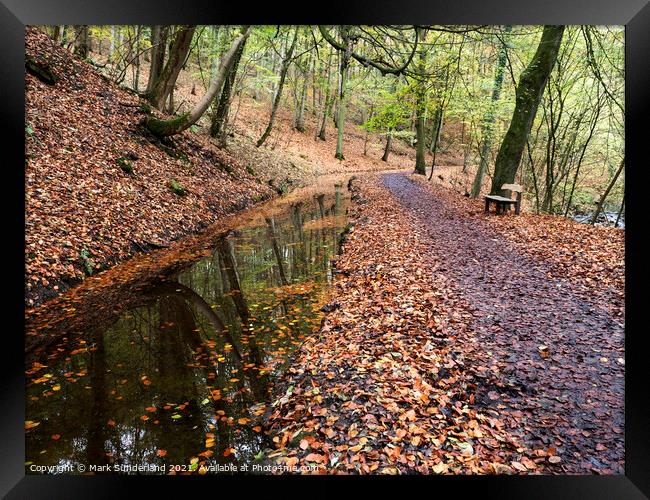 Skipton Woods in Autumn Framed Print by Mark Sunderland