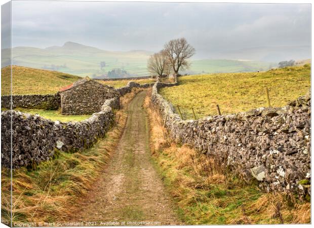 Goat Scar Lane above Stainforth in Ribblesdale Canvas Print by Mark Sunderland