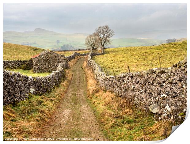 Goat Scar Lane above Stainforth in Ribblesdale Print by Mark Sunderland