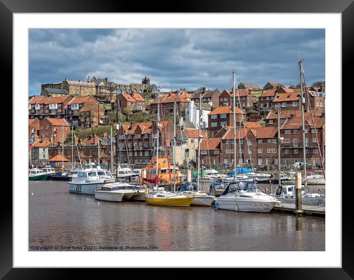 Whitby, North Yorkshire  Framed Mounted Print by June Ross
