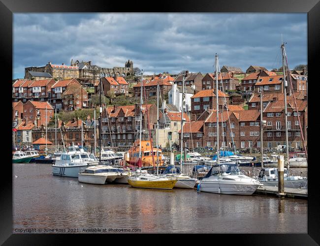 Whitby, North Yorkshire  Framed Print by June Ross