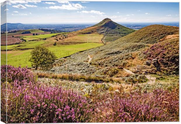 Summer at Roseberry Topping, Great Ayton, North Yorkshire Canvas Print by June Ross