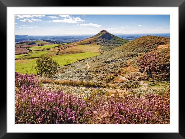 Summer at Roseberry Topping, Great Ayton, North Yorkshire Framed Mounted Print by June Ross