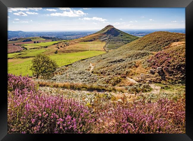 Summer at Roseberry Topping, Great Ayton, North Yorkshire Framed Print by June Ross