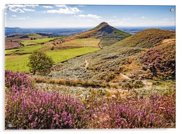 Summer at Roseberry Topping, Great Ayton, North Yorkshire Acrylic by June Ross