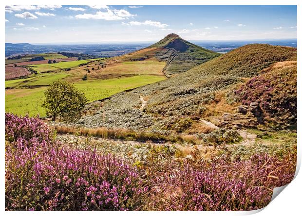 Summer at Roseberry Topping, Great Ayton, North Yorkshire Print by June Ross