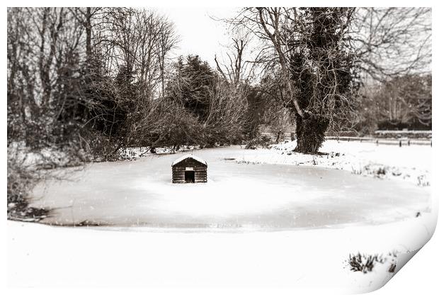 Frozen Village Duckpond & Duckhouse In Bucknell, O Print by Peter Greenway
