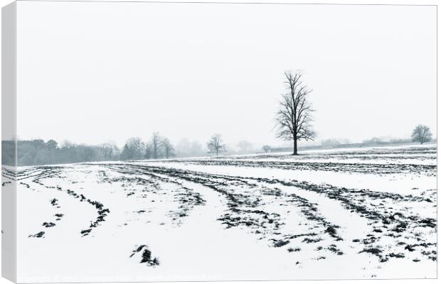 Lone Tree Amid A Snow Covered Ploughed Field Canvas Print by Peter Greenway