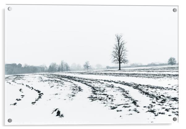 Lone Tree Amid A Snow Covered Ploughed Field Acrylic by Peter Greenway