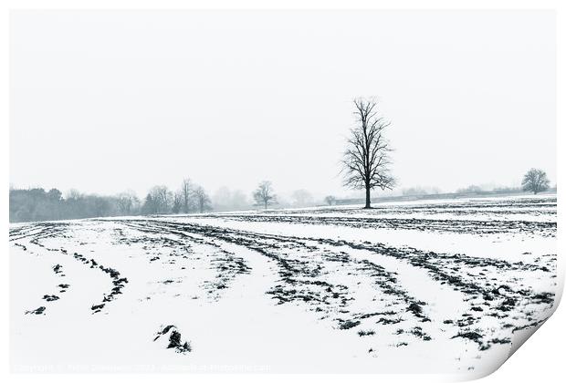 Lone Tree Amid A Snow Covered Ploughed Field Print by Peter Greenway