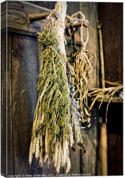Sheaves of Herbs Hanging Up To Dry Canvas Print by Peter Greenway