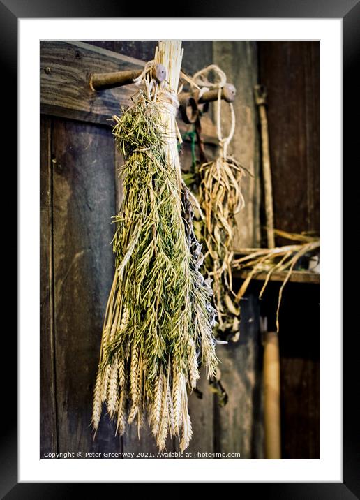 Sheaves of Herbs Hanging Up To Dry Framed Mounted Print by Peter Greenway