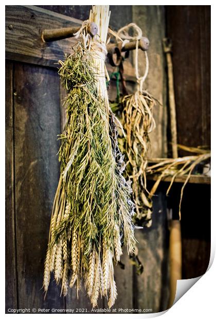 Sheaves of Herbs Hanging Up To Dry Print by Peter Greenway